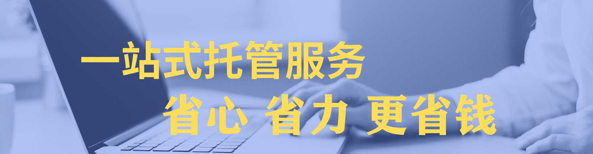 龙凤百度竞价排名